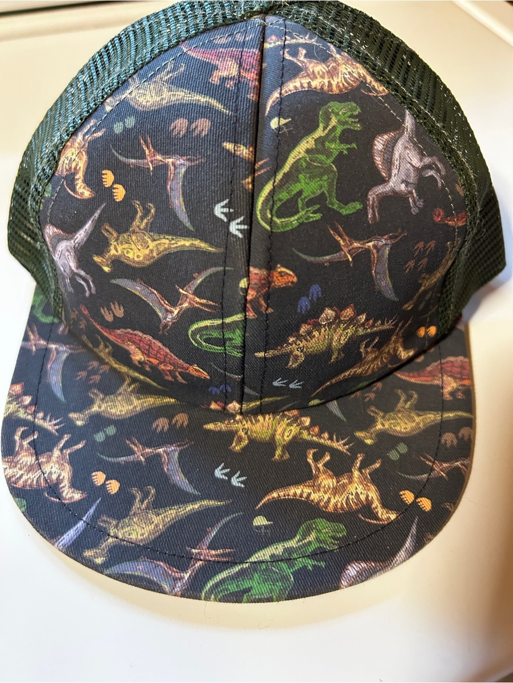 Kids Dino Print Trucker Hat - Black with Multicolor Dinosaurs